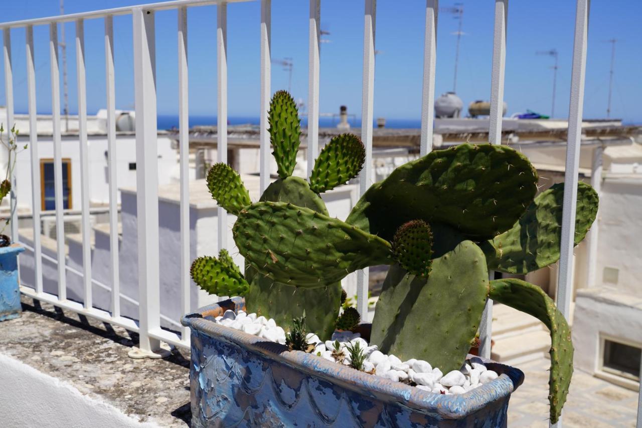 Casabella - Con Terrazza Panoramica Villa Ostuni Exterior photo